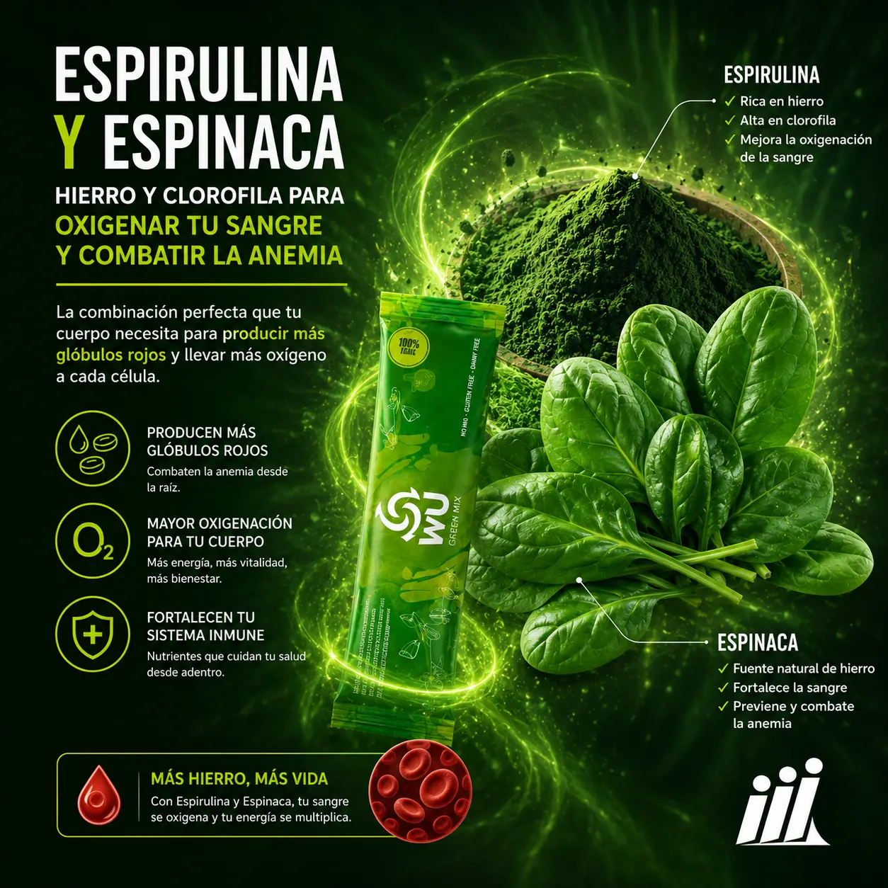 Espirulina y Espinaca – hierro y clorofila para oxigenar la sangre